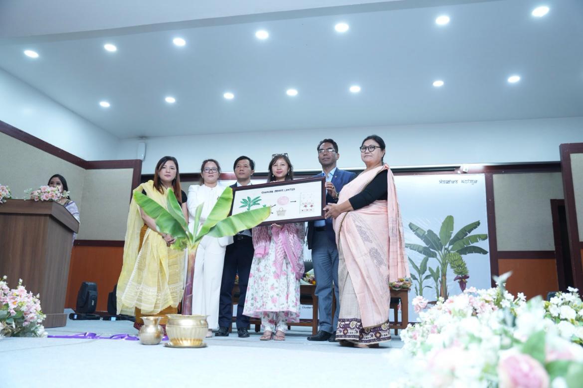 Traditional Handloom Modernization