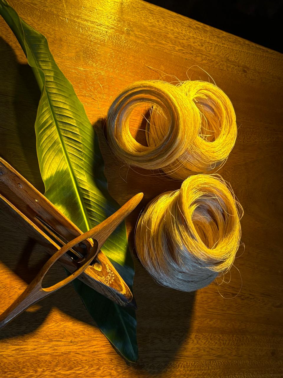 Organic Biofertilizer Products